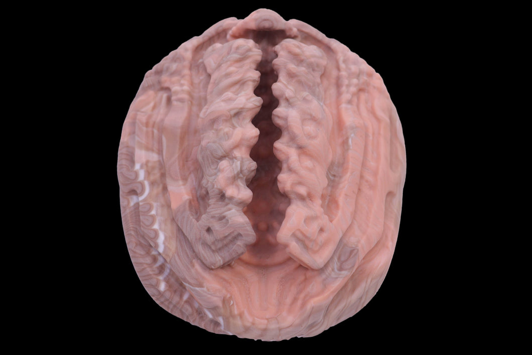 19424 Compact Xeno Interface in Extra Soft Firmness