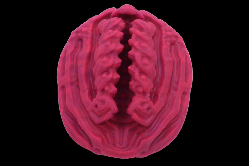 19426 Compact Xeno Interface in Extra Soft Firmness