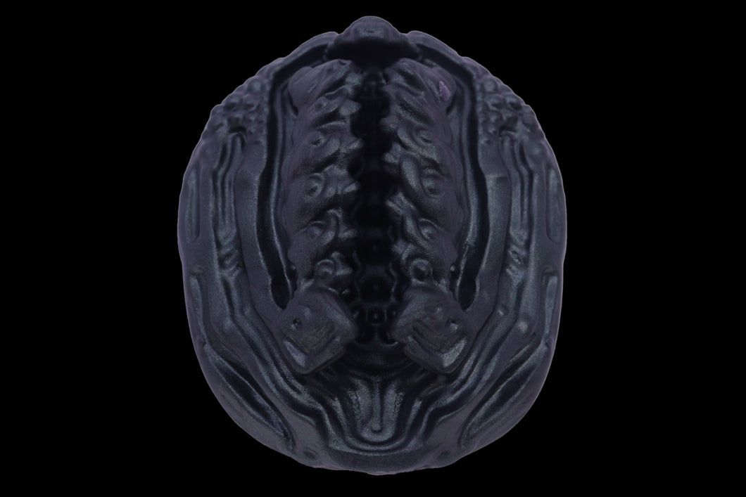 19432 Compact Xeno Interface in Extra Soft Firmness