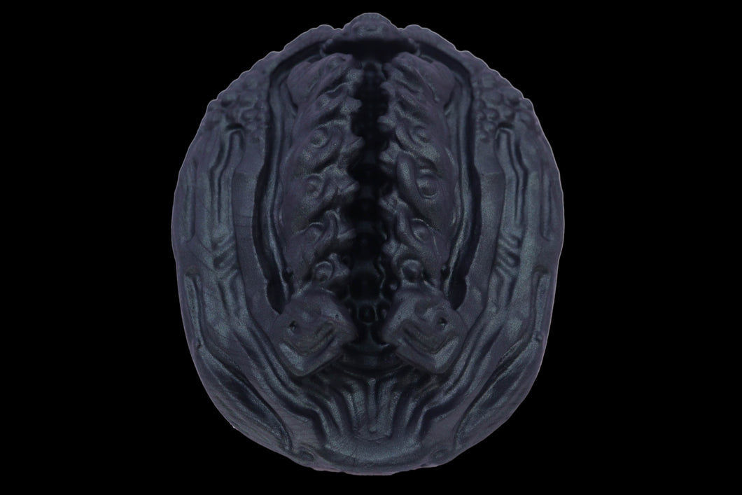 19433 Compact Xeno Interface in Extra Soft Firmness
