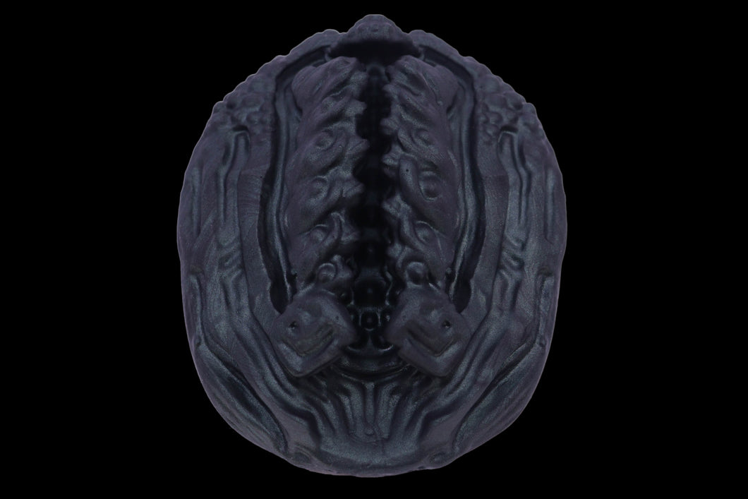 19434 Compact Xeno Interface in Extra Soft Firmness
