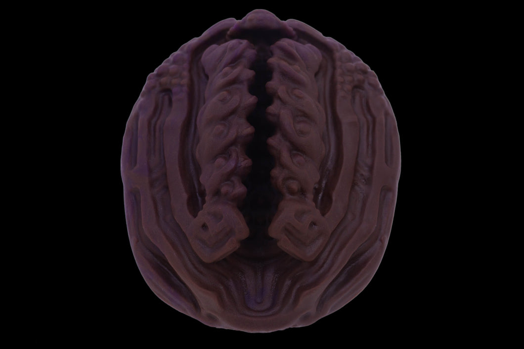19435 Compact Xeno Interface in Extra Soft Firmness
