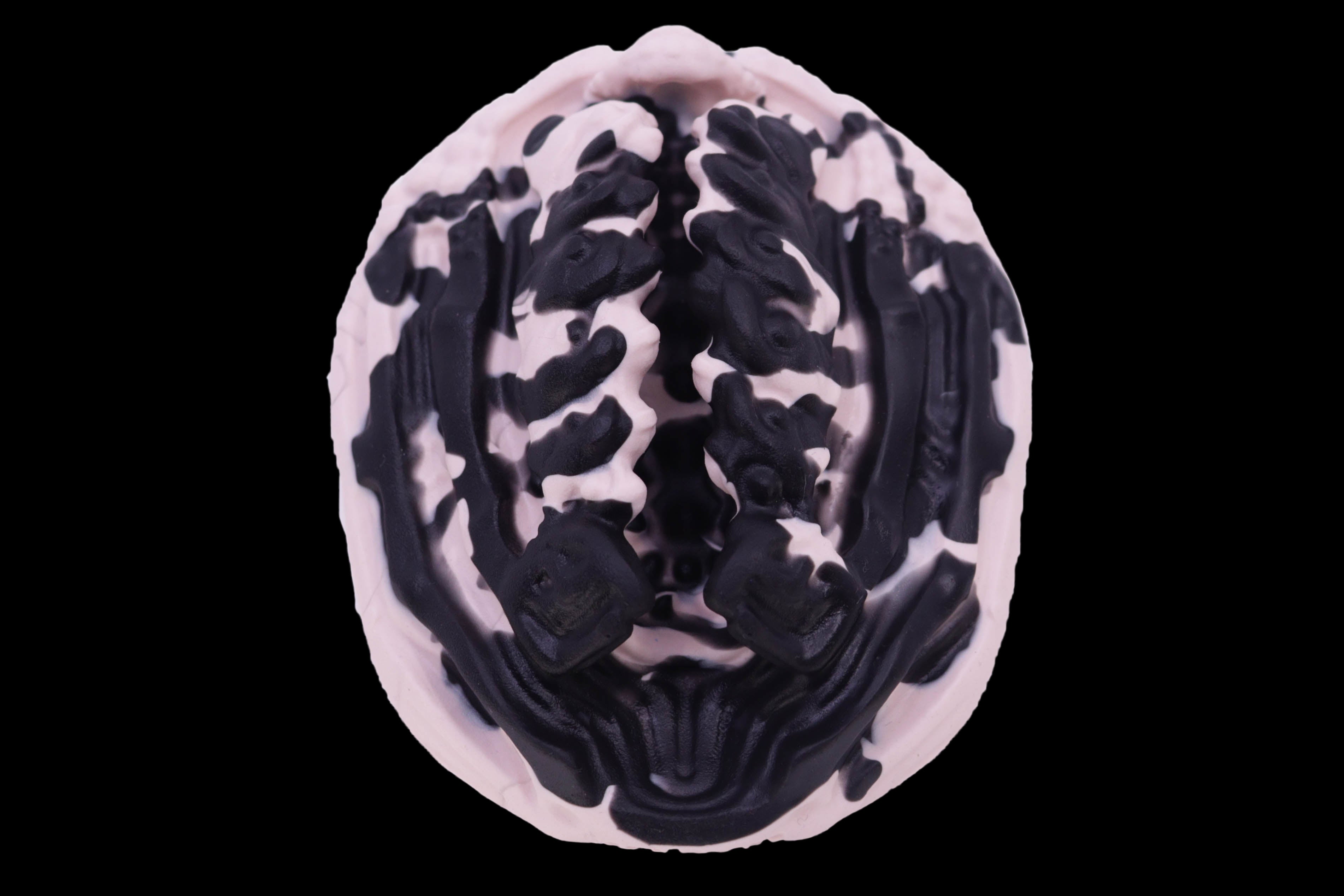19442 Compact Xeno Interface in Soft Firmness – Lycantasy