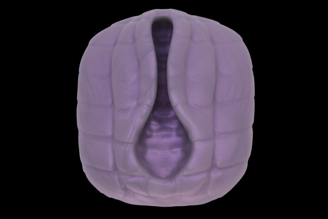 19479 Compact Serpent Interface in Extra Soft Firmness