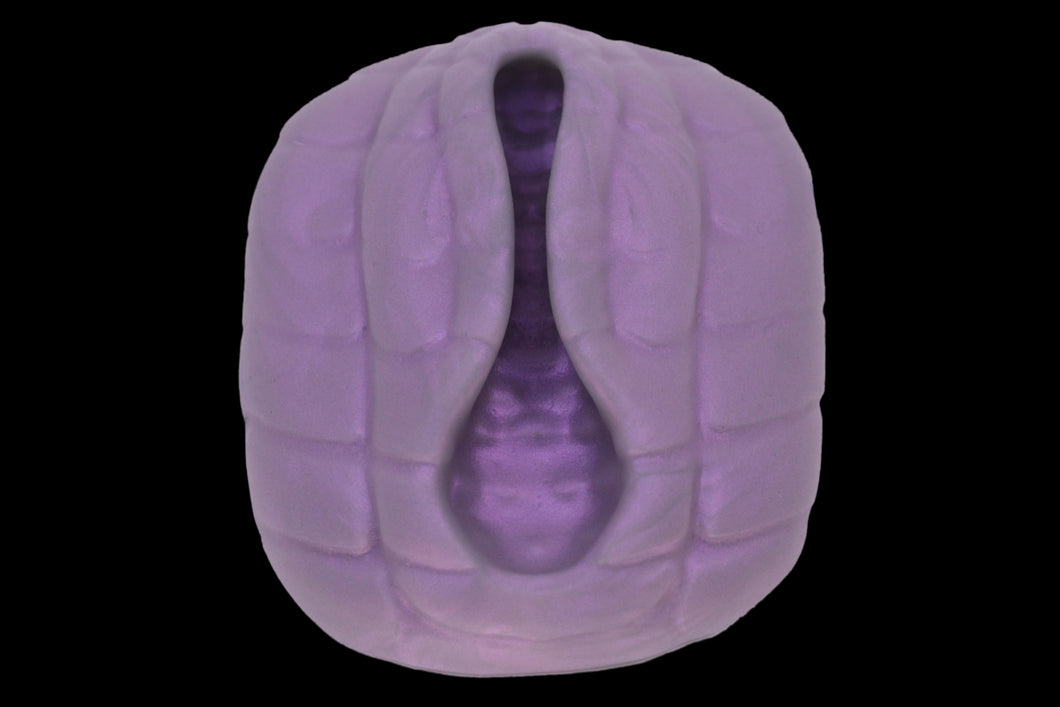 19482 Compact Serpent Interface in Extra Soft Firmness
