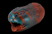 Load image into Gallery viewer, Autumn the Ozark Howler
